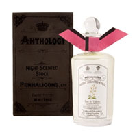 Anthology Night Scented